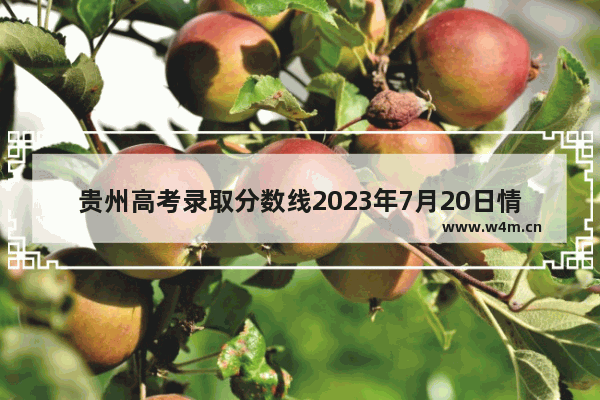 贵州高考录取分数线2023年7月20日情况 22年贵州高考分数线多少