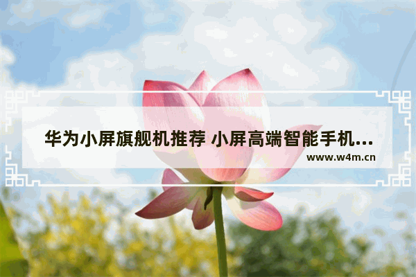 华为小屏旗舰机推荐 小屏高端智能手机推荐一下有哪些型号