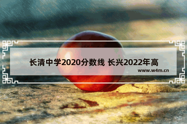 长清中学2020分数线 长兴2022年高考分数线