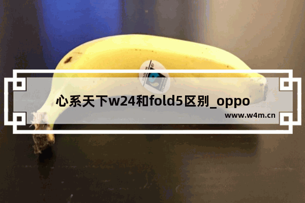 心系天下w24和fold5区别_oppo最小的手机是什么型号