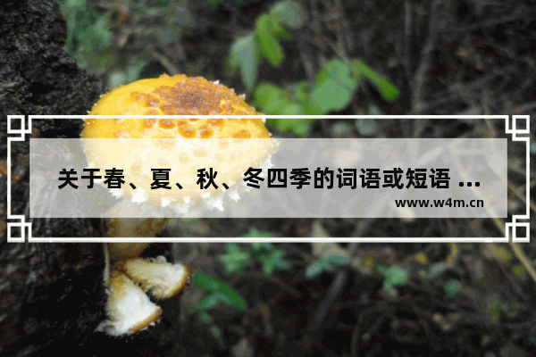 关于春、夏、秋、冬四季的词语或短语 每个季节的词语或短语分别10个_四季养生春养什么夏养什么秋养什么冬养什么