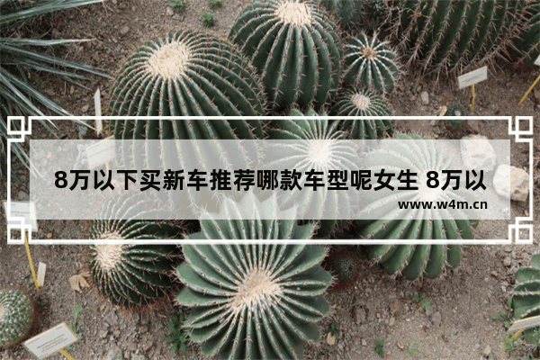 8万以下买新车推荐哪款车型呢女生 8万以下买新车推荐哪款车型呢女生