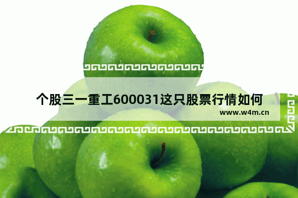 个股三一重工600031这只股票行情如何样_近来主力为何狂抛三一重工 难道有什么重大利空消息吗