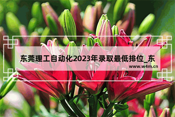 东莞理工自动化2023年录取最低排位_东莞理工学院录取分数线2021