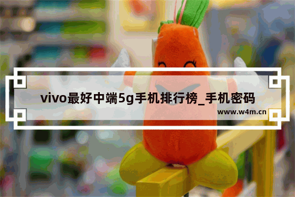 vivo最好中端5g手机排行榜_手机密码6位数既好听又好记