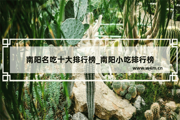 南阳名吃十大排行榜_南阳小吃排行榜