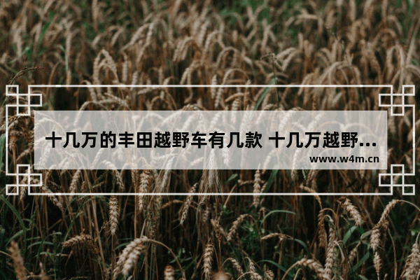 十几万的丰田越野车有几款 十几万越野车新车推荐哪款好开