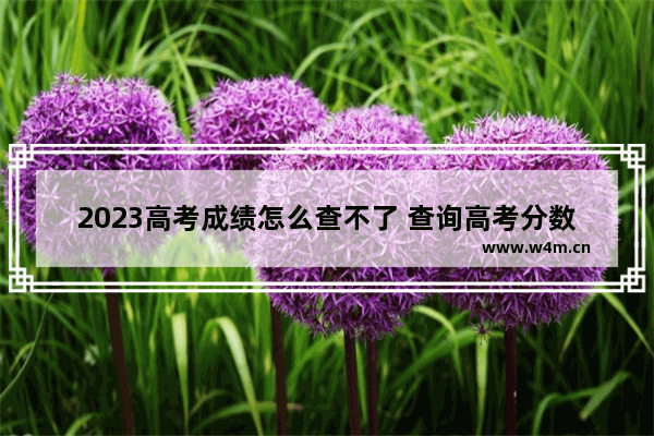 2023高考成绩怎么查不了 查询高考分数线怎么查不到