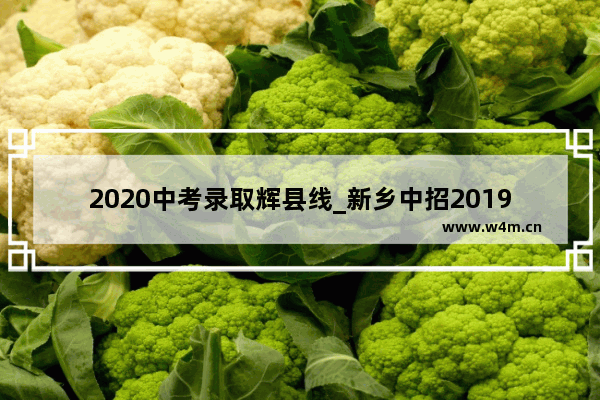 2020中考录取辉县线_新乡中招2019分数线