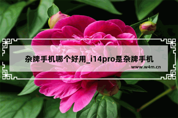 杂牌手机哪个好用_i14pro是杂牌手机吗