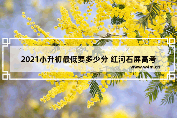 2021小升初最低要多少分 红河石屏高考分数线高吗