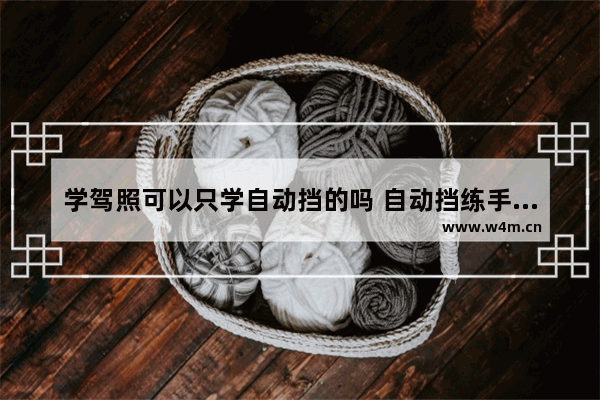 学驾照可以只学自动挡的吗 自动挡练手车新车推荐哪款好一点