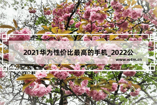 2021华为性价比最高的手机_2022公认华为最好手机排行榜前十