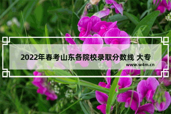 2022年春考山东各院校录取分数线 大专22年夏季高考分数线