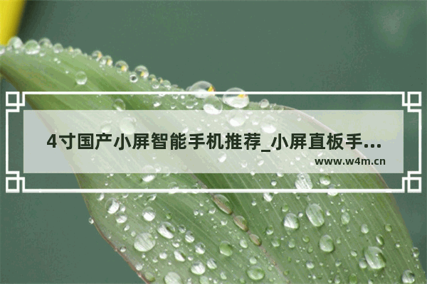 4寸国产小屏智能手机推荐_小屏直板手机推荐