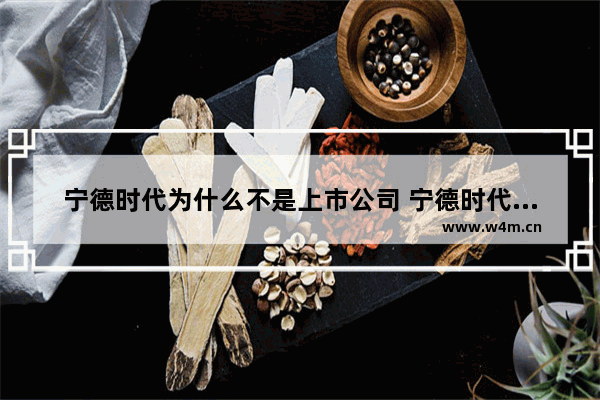 宁德时代为什么不是上市公司 宁德时代股票价格为什么那么低