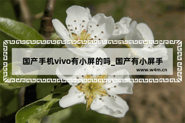 国产手机vivo有小屏的吗_国产有小屏手机吗