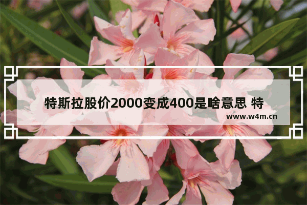 特斯拉股价2000变成400是啥意思 特斯拉股票还能涨多久