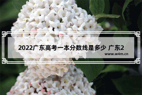 2022广东高考一本分数线是多少 广东22年夏季高考分数线