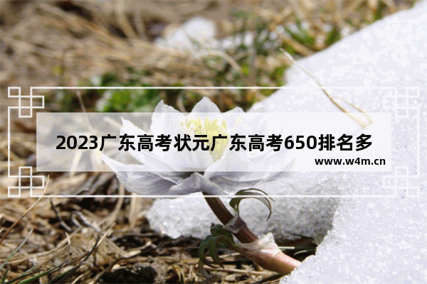 2023广东高考状元广东高考650排名多少 广东高考分数线排名前十