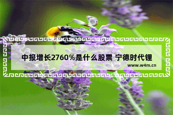 中报增长2760%是什么股票 宁德时代锂电池股票代码