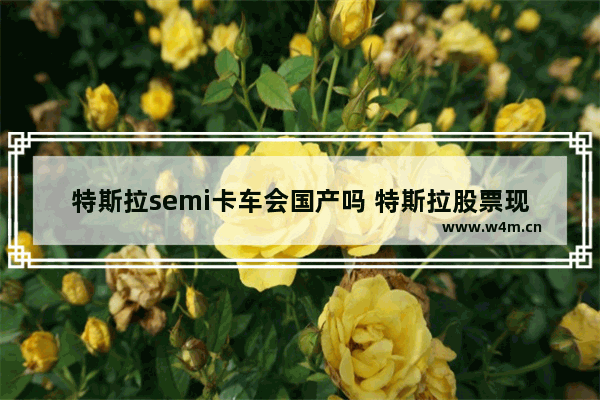 特斯拉semi卡车会国产吗 特斯拉股票现在多少钱一股