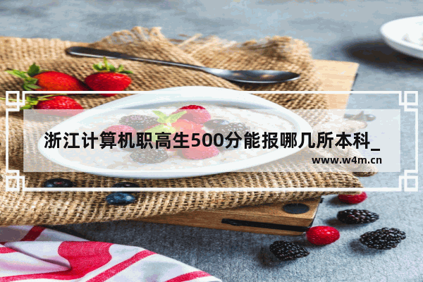 浙江计算机职高生500分能报哪几所本科_浙江200多分的可以上什么技校