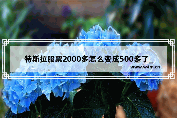 特斯拉股票2000多怎么变成500多了_马斯克为什么那么有钱