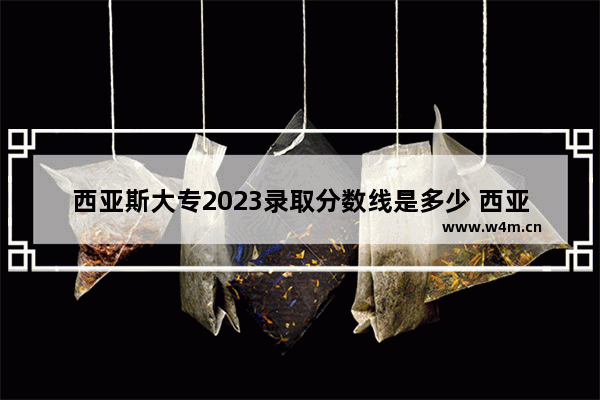 西亚斯大专2023录取分数线是多少 西亚斯录取高考分数线