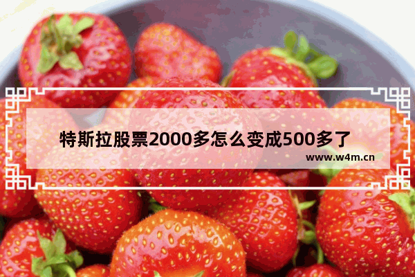 特斯拉股票2000多怎么变成500多了 特斯拉股票大跌