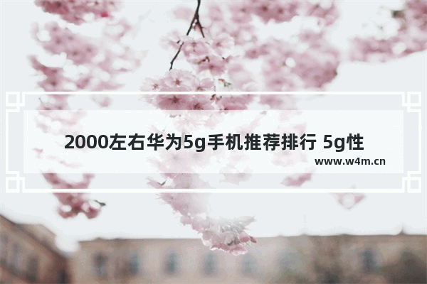 2000左右华为5g手机推荐排行 5g性价比华为手机推荐