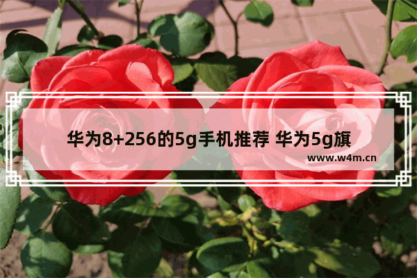 华为8+256的5g手机推荐 华为5g旗舰手机推荐性价比高吗