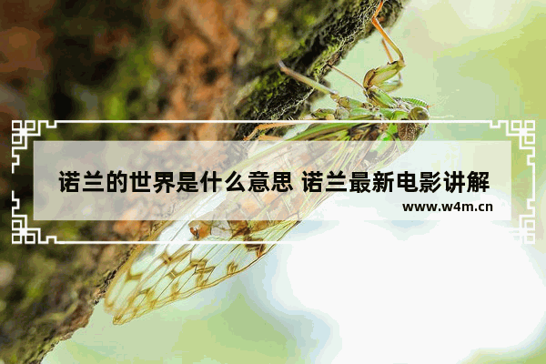 诺兰的世界是什么意思 诺兰最新电影讲解