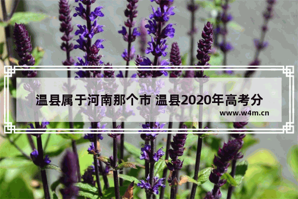 温县属于河南那个市 温县2020年高考分数线