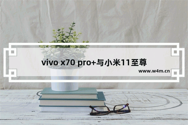 vivo x70 pro+与小米11至尊版哪个值得买 双十一小米性价比手机推荐