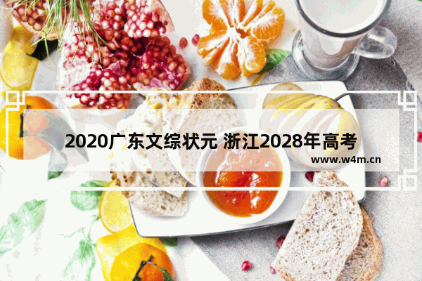 2020广东文综状元 浙江2028年高考分数线