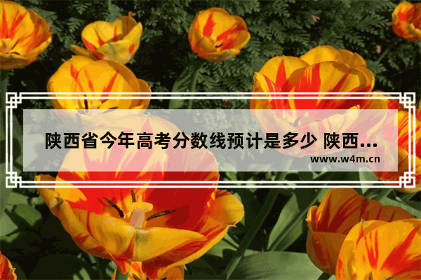 陕西省今年高考分数线预计是多少 陕西省预计高考分数线