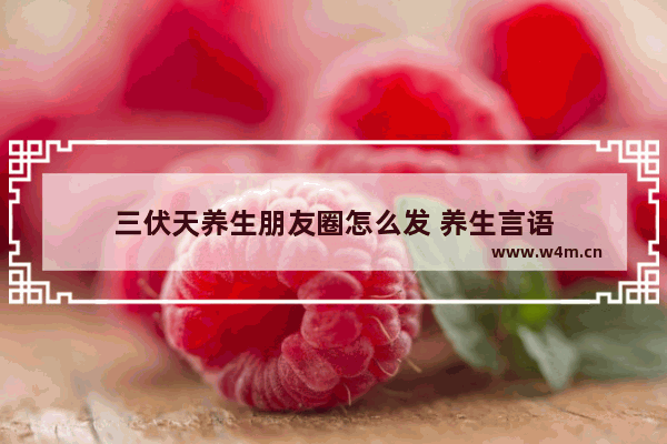 三伏天养生朋友圈怎么发 养生言语