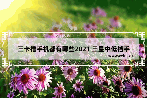 三卡槽手机都有哪些2021 三星中低档手机推荐