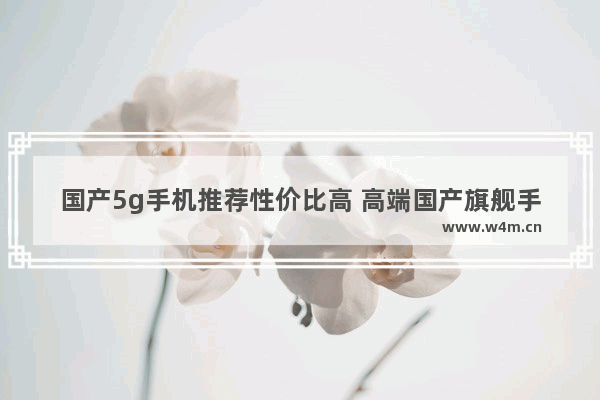 国产5g手机推荐性价比高 高端国产旗舰手机推荐一下