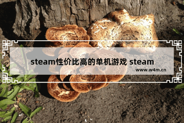 steam性价比高的单机游戏 steam 游戏推荐免费单机游戏