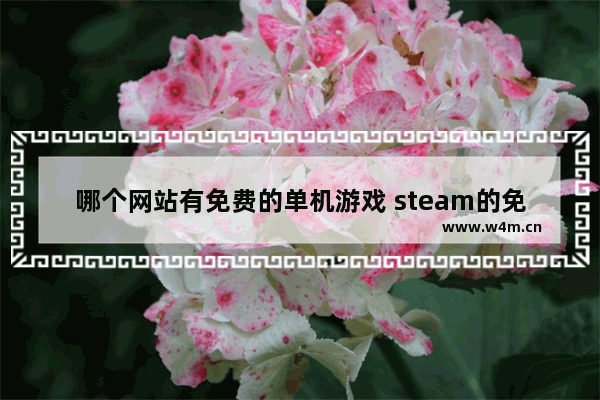 哪个网站有免费的单机游戏 steam的免费单机游戏推荐手游