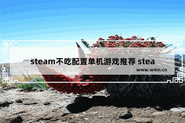 steam不吃配置单机游戏推荐 steam的免费单机游戏推荐一下