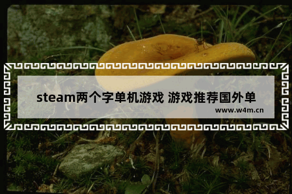 steam两个字单机游戏 游戏推荐国外单机游戏