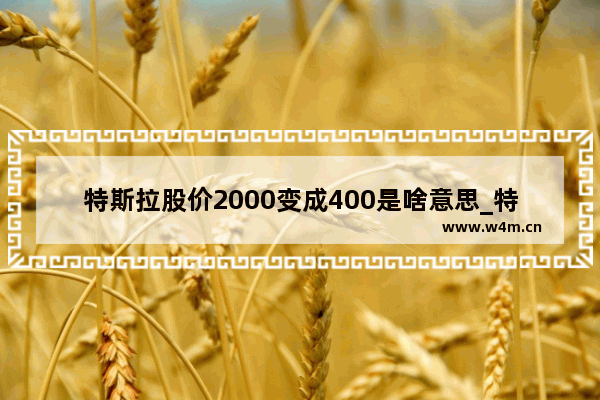 特斯拉股价2000变成400是啥意思_特斯拉股票还能涨吗现在