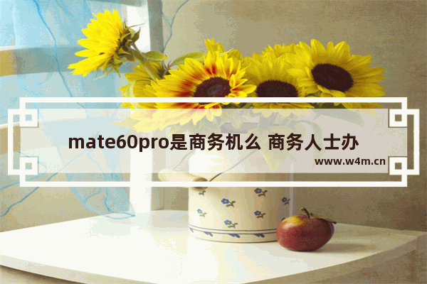 mate60pro是商务机么 商务人士办公手机推荐一下