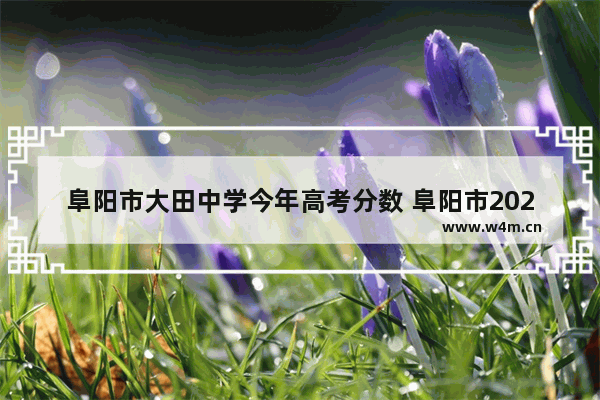 阜阳市大田中学今年高考分数 阜阳市2022高考分数线