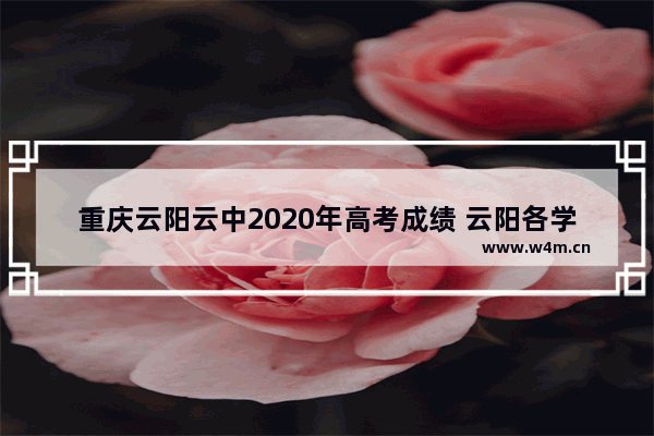 重庆云阳云中2020年高考成绩 云阳各学校高考分数线排名