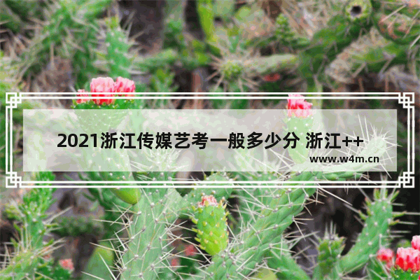 2021浙江传媒艺考一般多少分 浙江++++艺考分数线