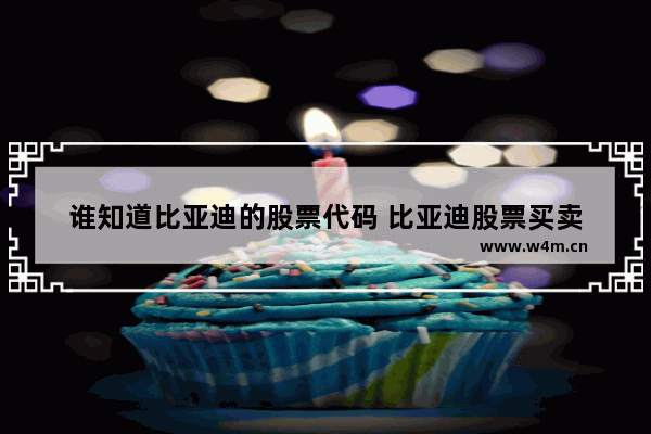 谁知道比亚迪的股票代码 比亚迪股票买卖